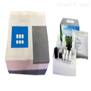 ST-2000A山东盛泰仪器霉菌毒素测定仪厂家